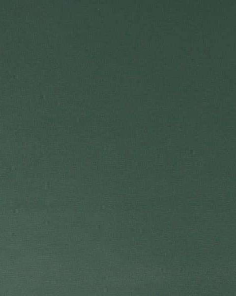 Graham & Brown | PARADISE | Uni Elegant Leaves Dark Green 106414