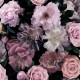 Graham & Brown / INDIVIDUAL / New Floral Design Pandora Blush 108597