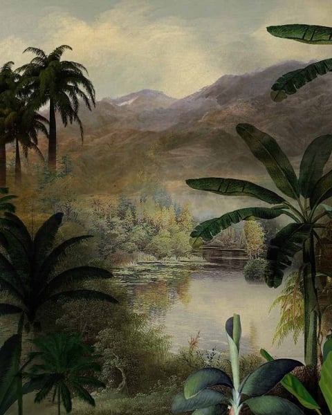 Honpo IM | India Fusion | Misty Tropical Basin