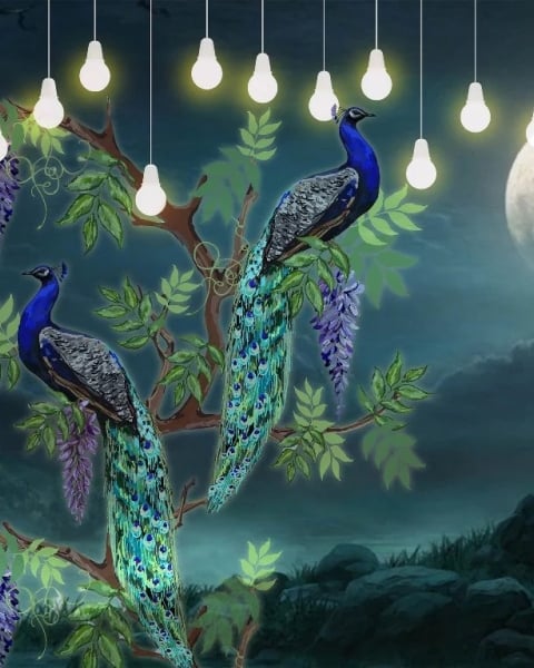 Honpo IM | The Artist | Moonlit Harmony