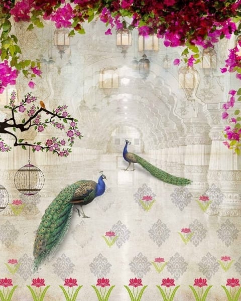 Honpo IM | The Artist | Peacock Paradise