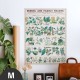 Hattan Art Poster botanical: economically uses of plants / HP-00017