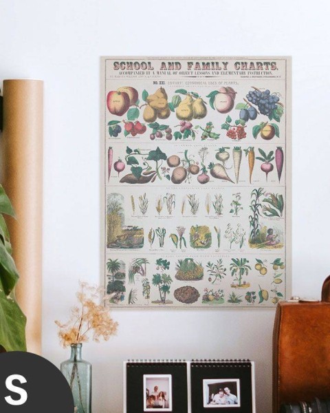 Hattan Art Poster Botanical: economically uses of plants / HP-00018