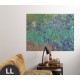 Hattan Art Poster Van Gogh Irises / HP-00177
