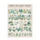 Hattan Art Poster botanical: economically uses of plants / HP-00017