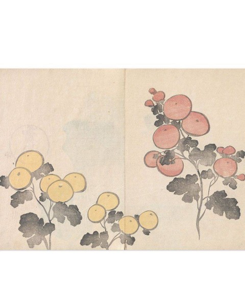 Hattan Art Poster Korin Art Poster Kiku / HP-00142