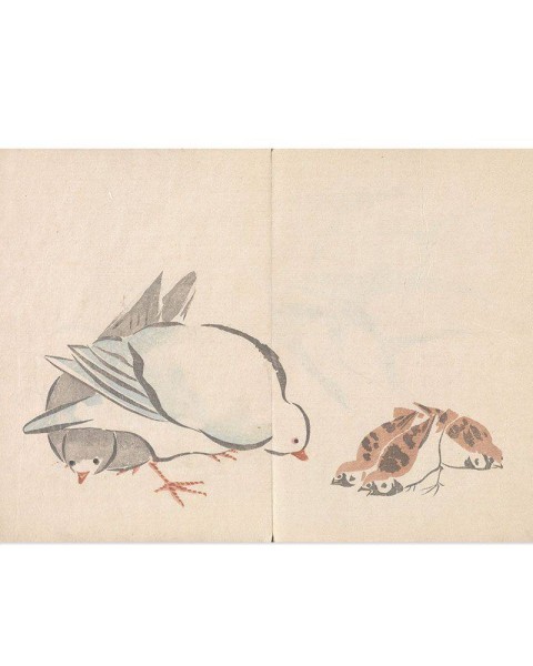 Hattan Art Poster Korin Art Poster Dove and Sparrow / HP-00143