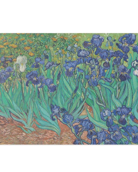 Hattan Art Poster Van Gogh Irises / HP-00177