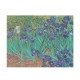 Hattan Art Poster Van Gogh Irises / HP-00177