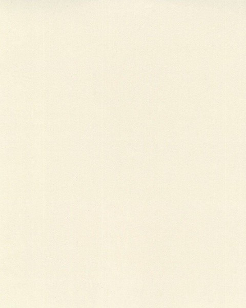 Hattan Palette | 01 Soy Milk