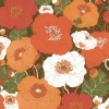 Hattan Vintage / Set E