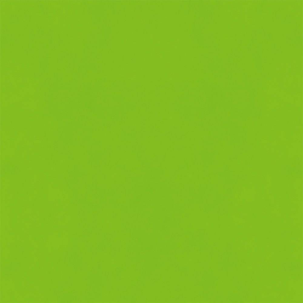 Hatte Me! Palette | 65 Lime Green