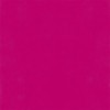 Hatte Me! Palette | 69 Magenta