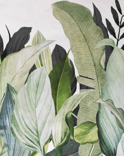 Hohenberger / Tropical Forest Coconut / 18001