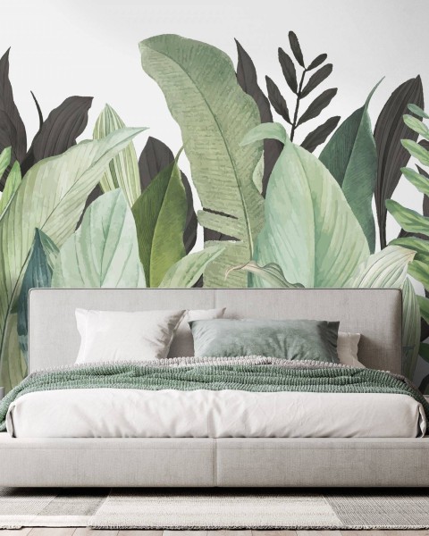 Hohenberger / Tropical Forest Coconut / 18001
