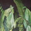 Hohenberger / Tropical Forest Blackberry / 18002