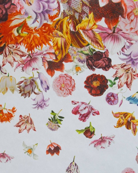 HOHENBERGER / TROPICAL / FLOWER RAIN COCONUT / 18003