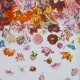 HOHENBERGER / TROPICAL / FLOWER RAIN COCONUT / 18003