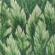 HOHENBERGER | TROPICAL | SAMOA | 26707