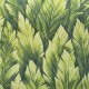 HOHENBERGER | TROPICAL | SAMOA | 26708