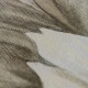 HOHENBERGER | TROPICAL | SAMOA | 26709