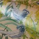HOHENBERGER | TROPICAL | MOOREA | 26727