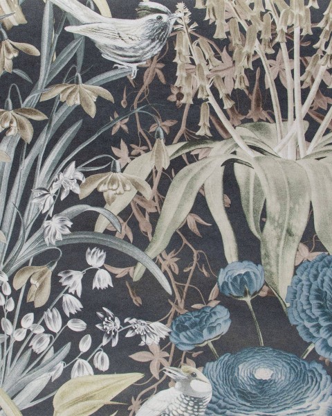 HOHENBERGER | TROPICAL | MOOREA | 26731