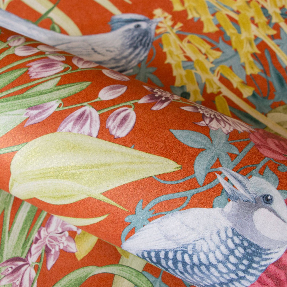 HOHENBERGER | TROPICAL | MOOREA | 26732