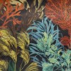 HOHENBERGER / HOHENBERGER TROPICAL 2021 / BORA BORA BLACKBERRY / 26737