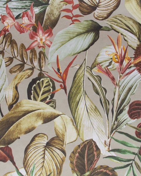 HOHENBERGER | TROPICAL | KIRIBATI PEANUT | 26738