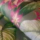 HOHENBERGER | TROPICAL | KIRIBATI WATERMELON | 26739