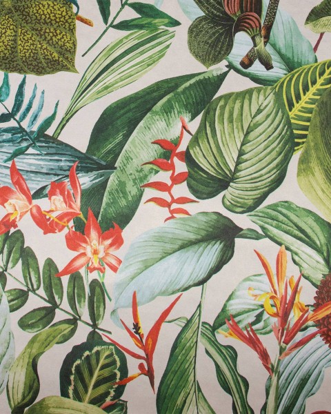 HOHENBERGER | TROPICAL | KIRIBATI AVOCADO | 26740