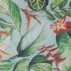 HOHENBERGER | TROPICAL | KIRIBATI BLUE BANANA | 26741