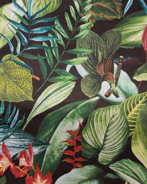 HOHENBERGER | TROPICAL | KIRIBATI BLACKBERRY | 26742