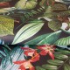HOHENBERGER | TROPICAL | KIRIBATI BLACKBERRY | 26742