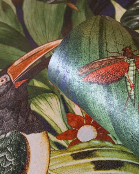 HOHENBERGER / TROPICAL / PALAU / 26743