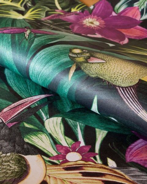 HOHENBERGER / TROPICAL / PALAU / 26744