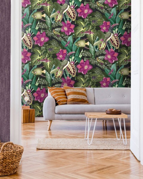HOHENBERGER / TROPICAL / PALAU / 26744