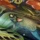 HOHENBERGER / TROPICAL / PALAU / 26745