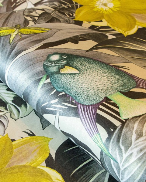 HOHENBERGER / TROPICAL / PALAU / 26745