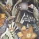 HOHENBERGER / TROPICAL / PALAU / 26746