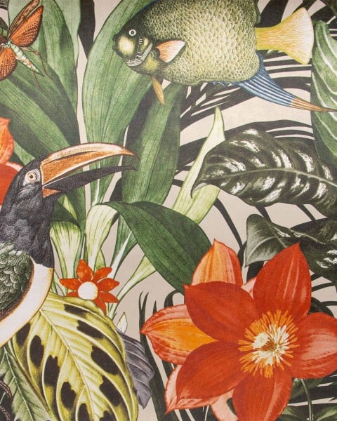 HOHENBERGER / TROPICAL / PALAU / 26747