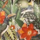 HOHENBERGER / TROPICAL / PALAU / 26747