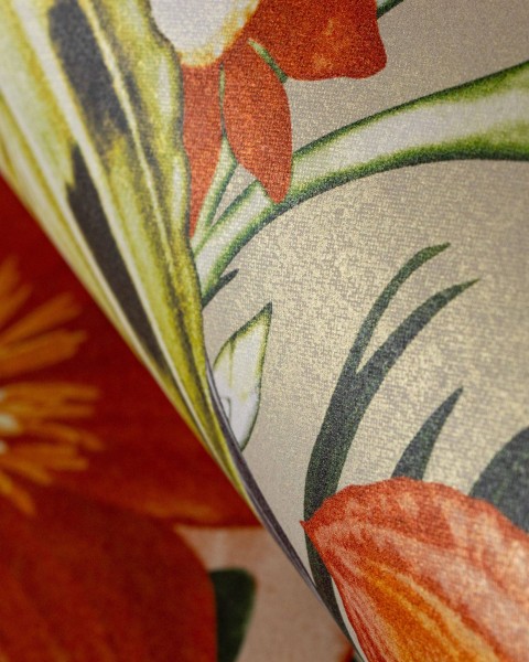 HOHENBERGER / TROPICAL / PALAU / 26747