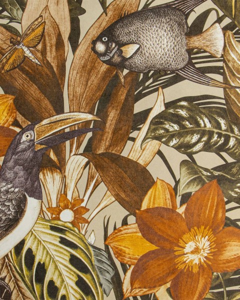 HOHENBERGER / TROPICAL / PALAU / 26748