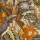 HOHENBERGER / TROPICAL / PALAU / 26748