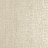 Hohenberger | ADONEA | Zeus I
