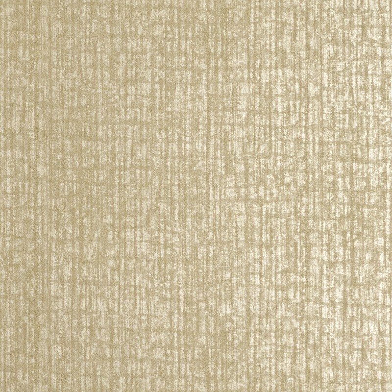 Hohenberger | ADONEA | Zeus I
