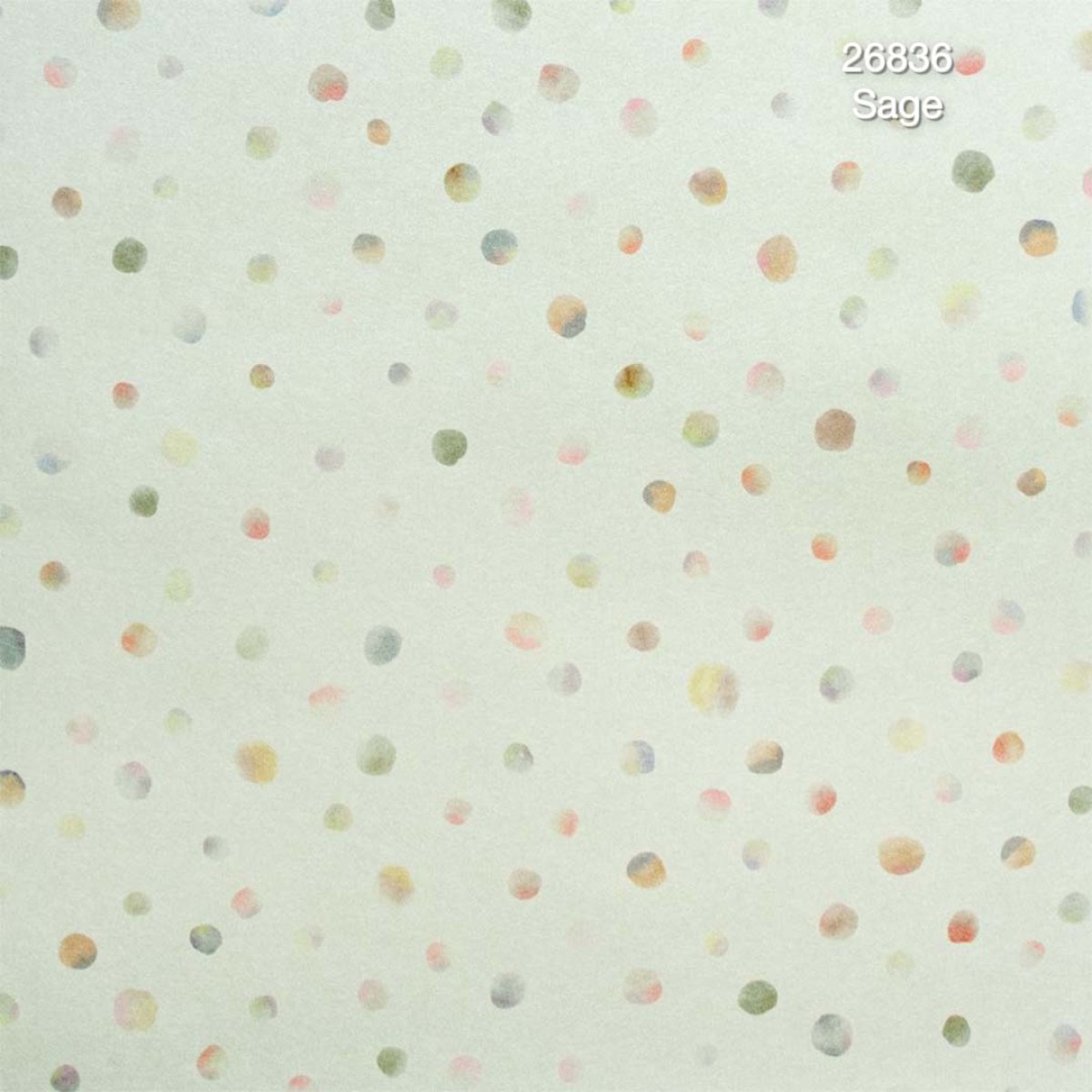 Hohenberger | Great Kids | Watercolor Dots I