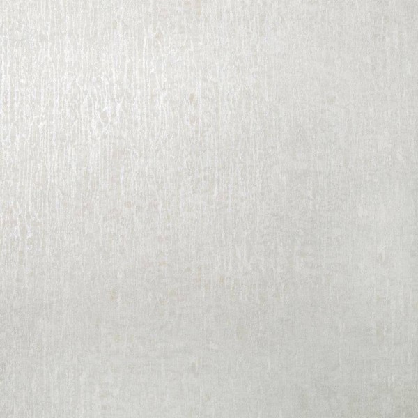 HOHENBERGER | 64988 | BASE PAPERWHITE